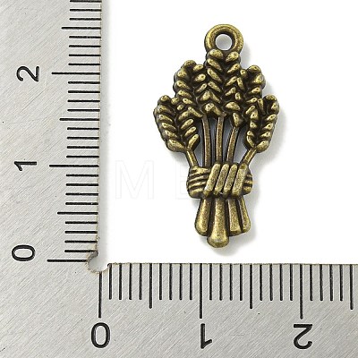 Tibetan Style Alloy Pendants TIBE-I026-6015AB-1