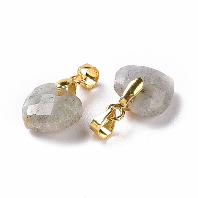 Natural Labradorite Pendants G-C023-07K-1