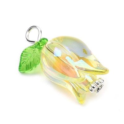 Acrylic Pendants X-PALLOY-JF03534-02-1