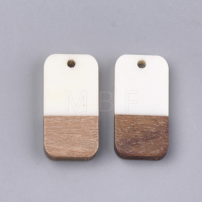 Resin & Walnut Wood Pendants RESI-S358-11D-1