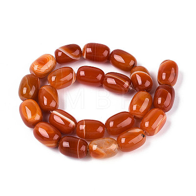Natural Agate Beads Strands G-N356-02A-12-1