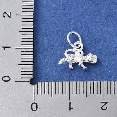 925 Sterling Silver 3D Chinese Zodiac Charms STER-P066-01S-03-1