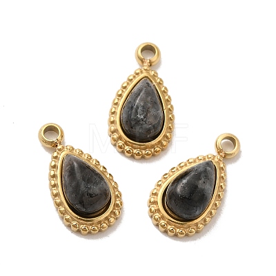 304 Stainless Steel Pave Natural Labradorite Teardrop Charms STAS-B074-04G-03-1