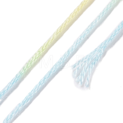 10 Skeins 6-Ply Polyester Embroidery Floss OCOR-K006-A14-1