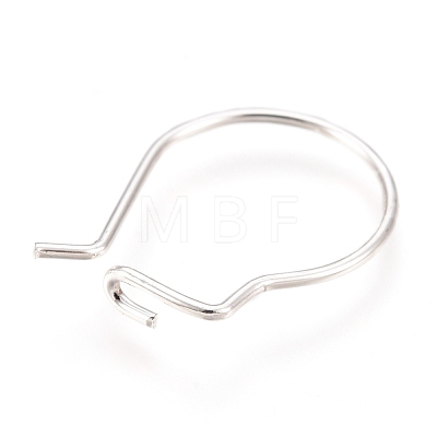 304 Stainless Steel Hoop Earrings Findings STAS-H436-02S-1