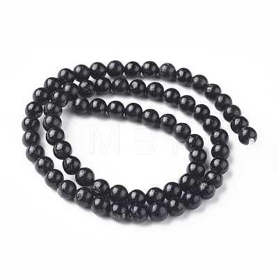 Natural Biotite Beads Strands G-L528-06D-1