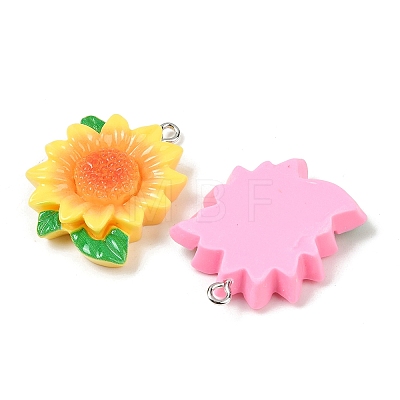 Resin Pendants RESI-D016-04A-1