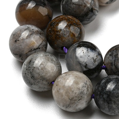 Natural Dendritic Jasper Beads Strands G-R494-A23-03-1