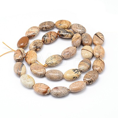 Natural Picture Jasper Flat Oval Bead Strands G-M206-24-1