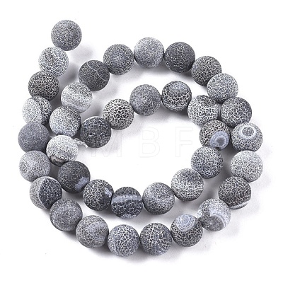 Natural Weathered Agate Beads Strands G-L534-04-10mm-1