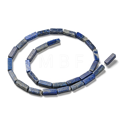 Natural Lapis Lazuli Beads Strands G-C084-C01-01-1