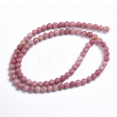 Natural Rhodonite Beads Strands G-I189-01-1