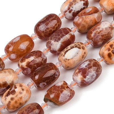Natural Fire Crackle Agate Beads Strands G-K393-G05-13x18-1
