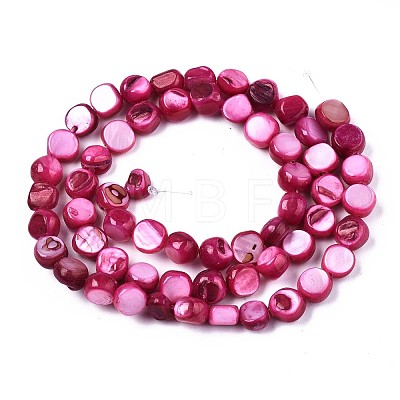 Natural Freshwater Shell Beads Strands SHEL-S276-110A-05-1