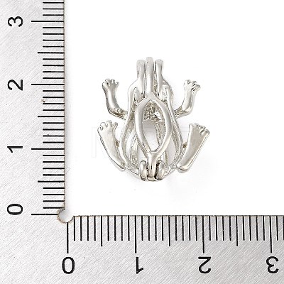 Alloy Bead Cage Pendants FIND-M012-01P-P-1