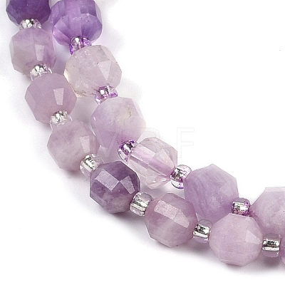 Natural Lepidolite Beads Strands G-O201B-108E-1