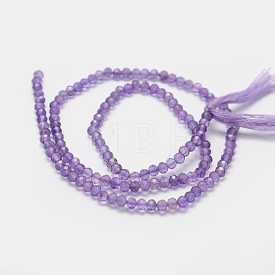 Natural Amethyst Bead Strands X-G-P271-3mm-09-1