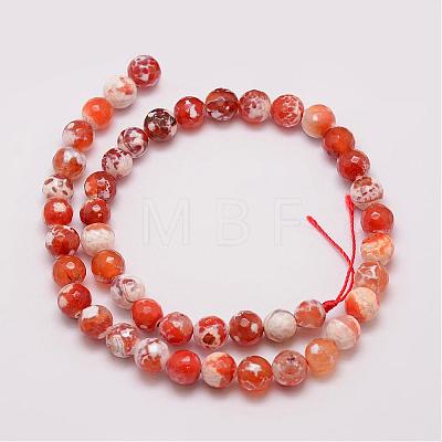 Natural Fire Crackle Agate Bead Strands G-G882-8mm-B03-1