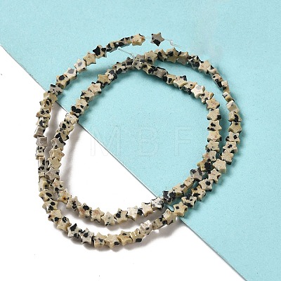 Natural Dalmatian Jasper Beads Strands G-G085-B13-01-1