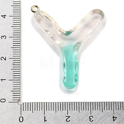 Resin Pendant FIND-Q107-01Y-02-1