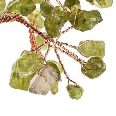 Natural Peridot Chips Money Tree Decorations DJEW-C016-01G-1