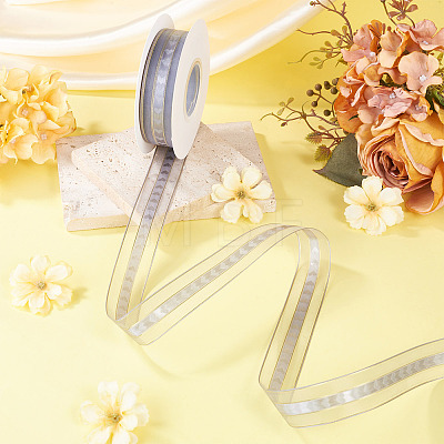 Polyester Lace Ribbon OCOR-TADJ0001-07I-1