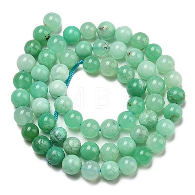 Grade AA Natural Chrysoprase Beads Strands G-R494-A01-02-1