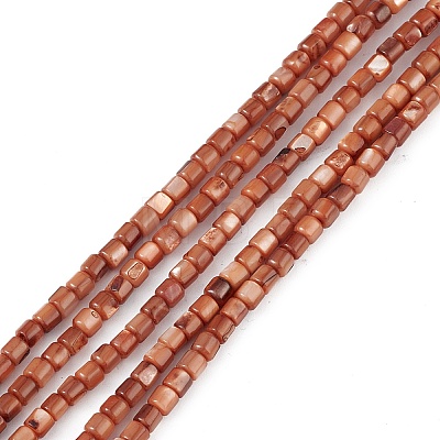 Natural Freshwater Shell Dyed Beads Strands X-SHEL-M018-14-02-1