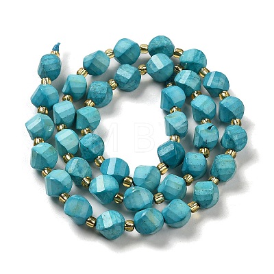 Dyed Natural Howlite Beads Strands G-G023-B01-02C-1