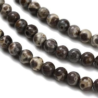 Natural Astroite Jasper Beads Strands G-F814-A01-4mm-1