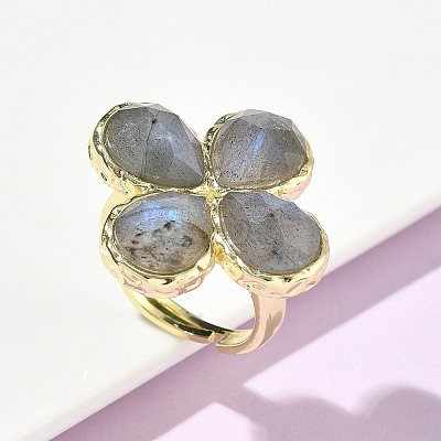 Natural Labradorite Faceted Adjustable Finger Rings for Women RJEW-A092-01G-12-1
