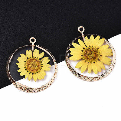 Transparent Clear Epoxy Resin & Dried Flower Pendants X-RESI-S383-076A-A02-1