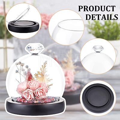 Glass Dome Cover ODIS-WH0002-26B-1