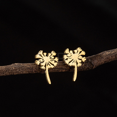 201 Stainless Steel Stud Earrings FS-WG9DC15-01-1