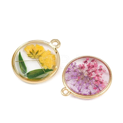 Alloy Epoxy Resin Pendants FIND-Z114-01G-05-1