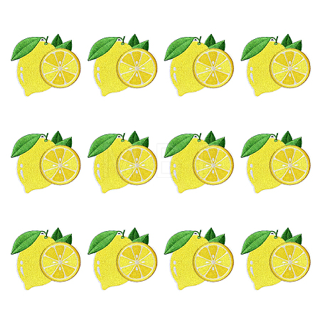 12Pcs Computerized Embroidery Polyester Iron on/Sew on Patches DIY-MA0007-24-1
