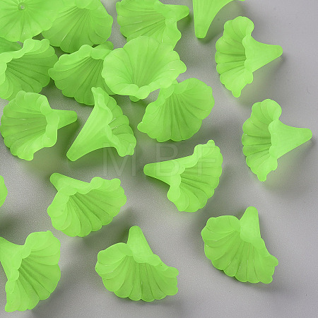 Transparent Acrylic Beads BSF796-C18-1