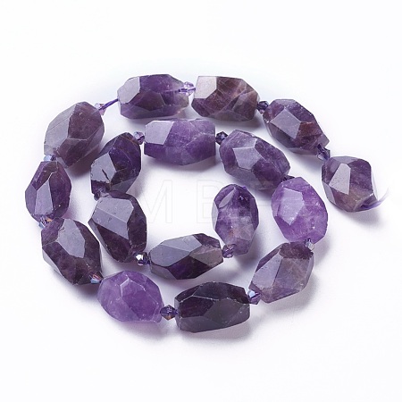 Natural Amethyst Beads Strands G-P434-30A-1