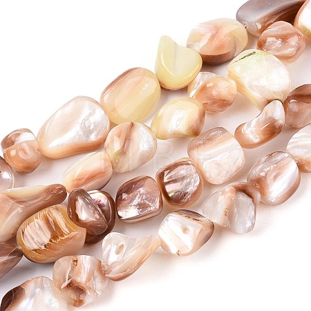 Natural Sea Shell Beads Strands SSHEL-N041-02B-1