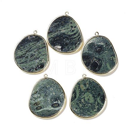 Natural Rhyolite Jasper Pendants G-E526-09G-1