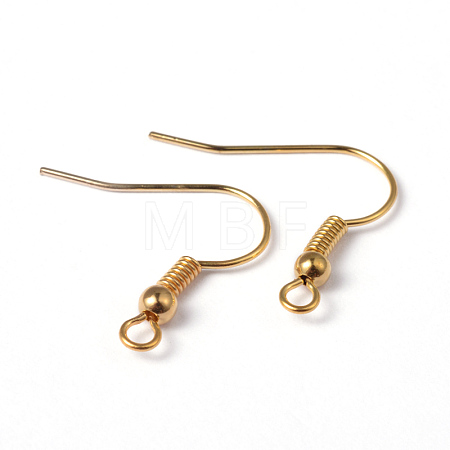 Brass Earring Hooks EC135Y-NFG-1