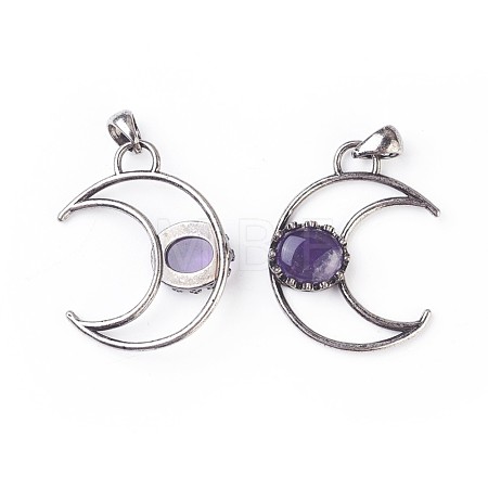 Natural Amethyst Pendants G-F639-07B-1