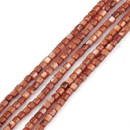 Natural Freshwater Shell Dyed Beads Strands X-SHEL-M018-14-02-1
