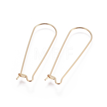 304 Stainless Steel Hoop Earring Finding X-STAS-E464-05G-1