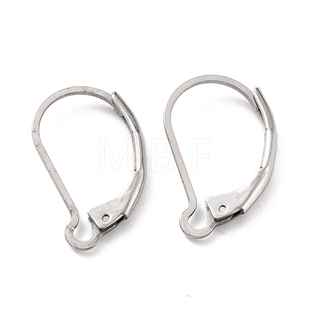 Non-Tarnish 304 Stainless Steel Leverback Earring Findings X-STAS-K233-04P-1