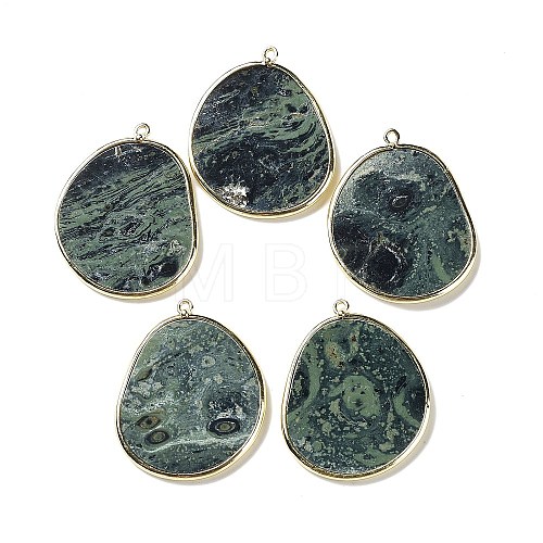 Natural Rhyolite Jasper Pendants G-E526-09G-1