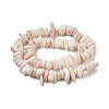 Natural Seashell Shell Beads Strands SSHEL-H072-10-2