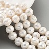 Natural Cultured Freshwater Pearl Beads Strands PEAR-C003-20C-2