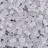 FGB Frosted Transparent Glass Seed Beads SEED-N013-05A-01-3