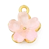 Alloy Glass Charms FIND-C079-05G-2